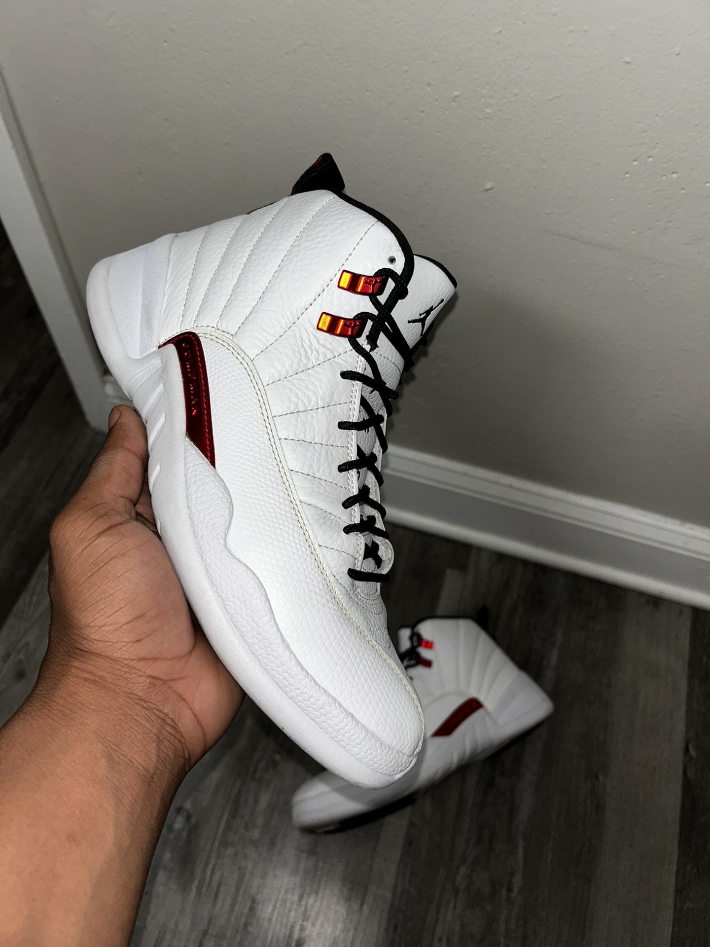 Twist Jordan 12s