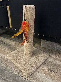 Cat scratcher post with feather toy