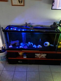 55 gallon & stand & large filter system.3 months old