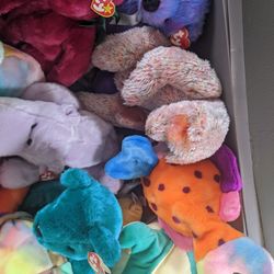 Beanie Babies New With Tags Medium Size