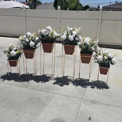 Flower And Stands 