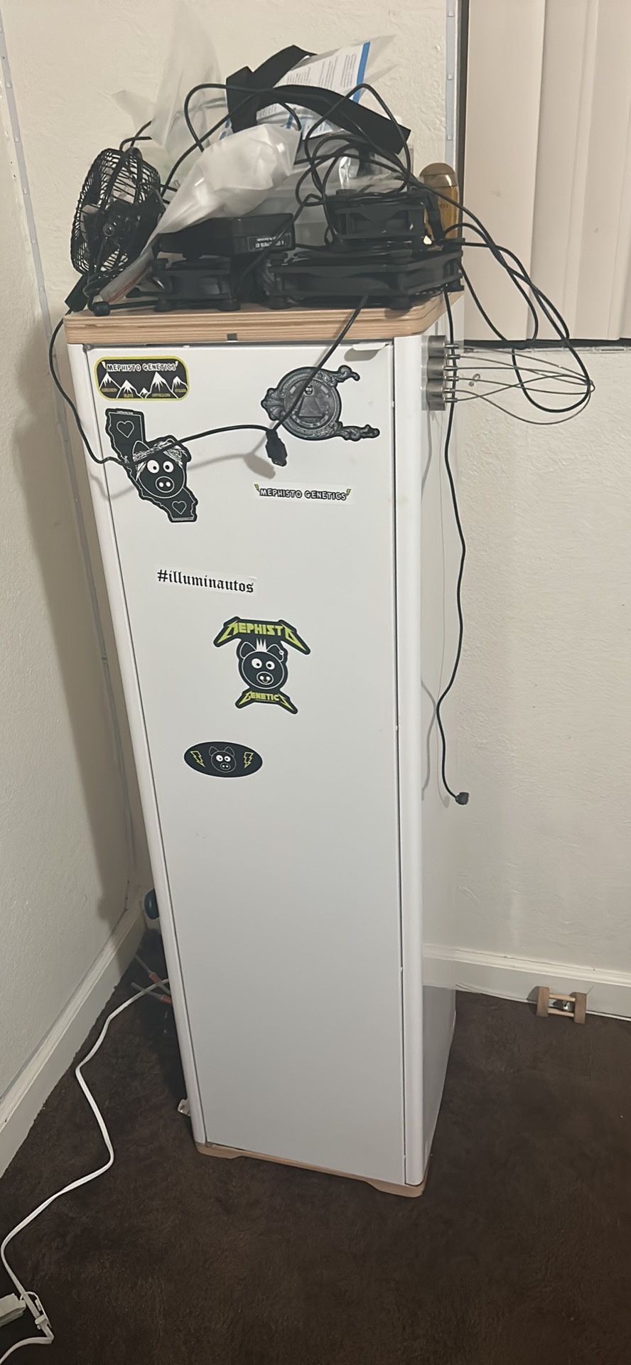 Grobo Hydroponic Grow