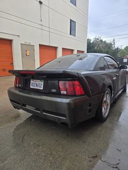 Carbon Fiber Saleen Bumper 