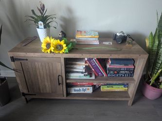 Modern Entertainment Stand