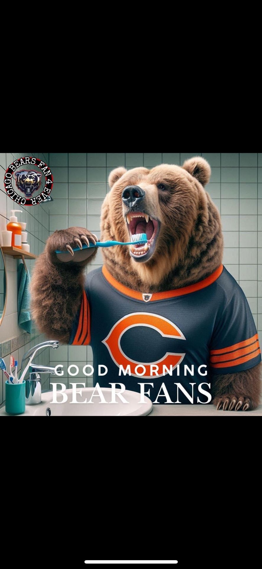 BEARS SEAHAWKS GAME CHICAGO DEC 26 2024