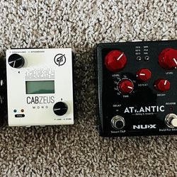Guitar Pedals - cabzeus, Altantic Reverb + Delay Pedal)