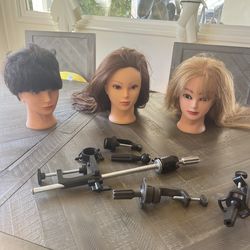 Cosmetology mannequin head with stands