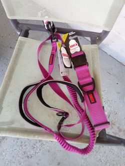 KONG Ultra Durable Dog Leash and Collar Set