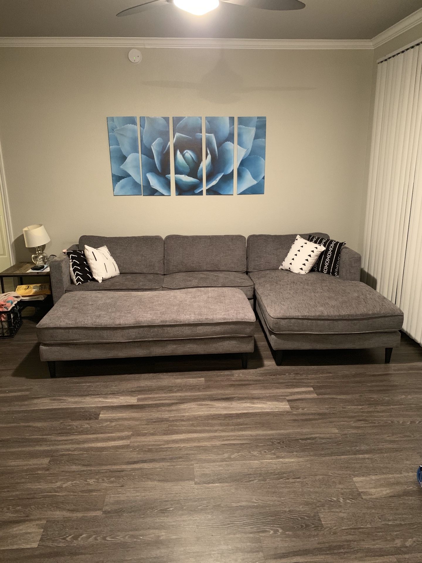 Living Spaces Couch and ottoman