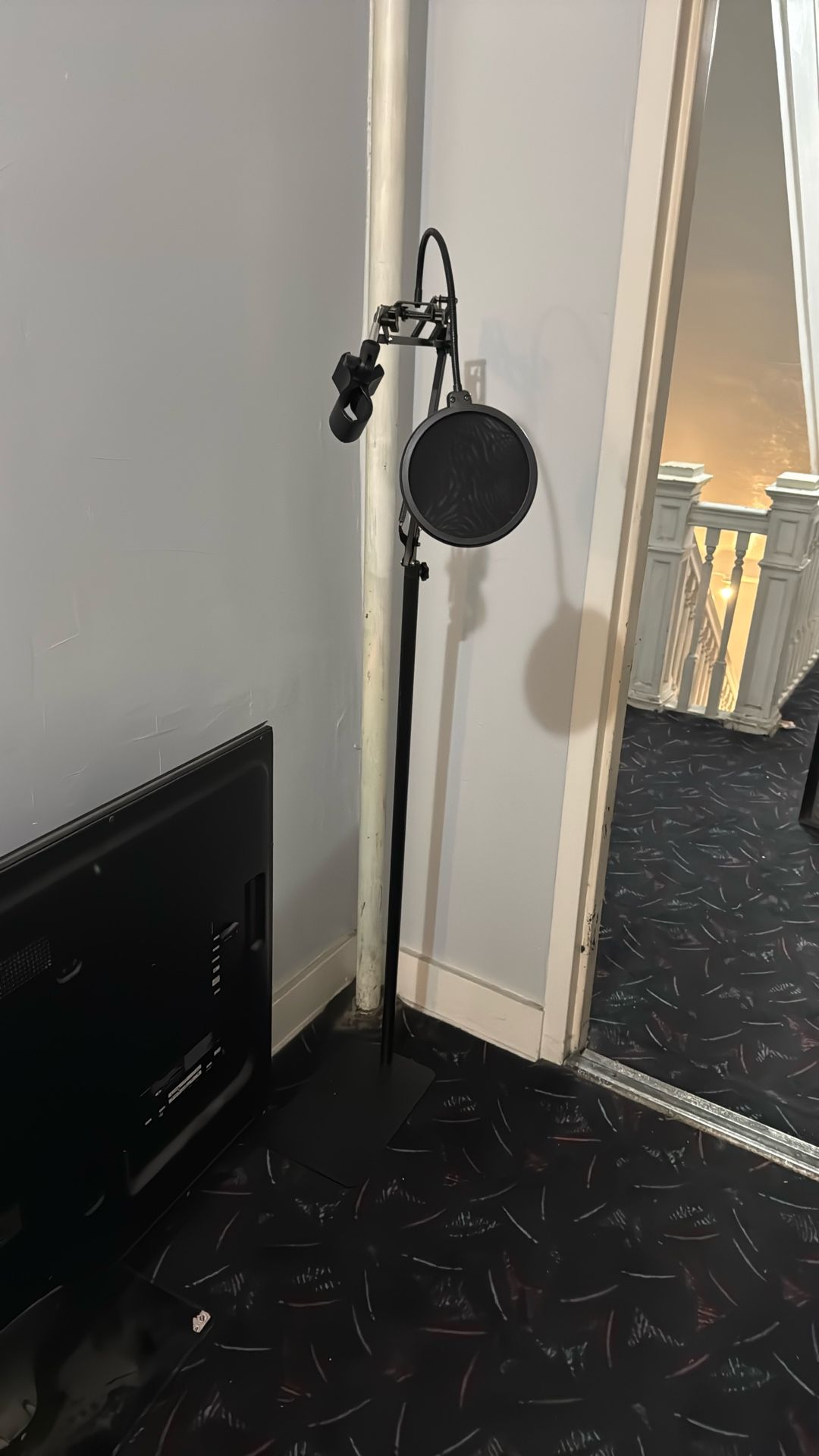 Mic Stand And Pop Filter