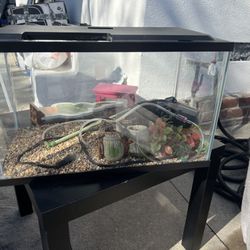 10 Gallon Fish Tank