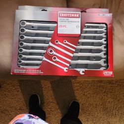 New 20 Piece Combination Wrench Set