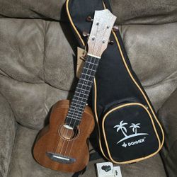 UKULELE CONCERTO ,DONNER $39