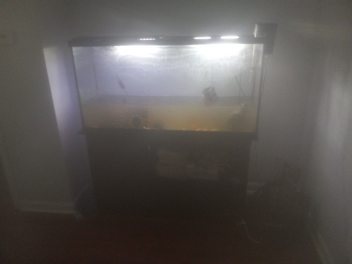 Fish Tank Turtle Tank