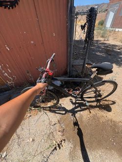Single speed/fixie commuter bike