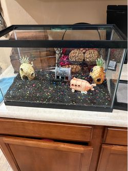 10 Gal Fish Tank