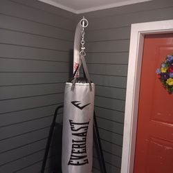 Professional Or Personal Punching Bag