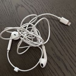 Apple earphones Lightning