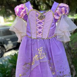 Rapunzel Dress Disney Princess Costume 