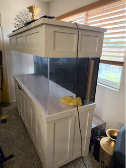 fish tank $200