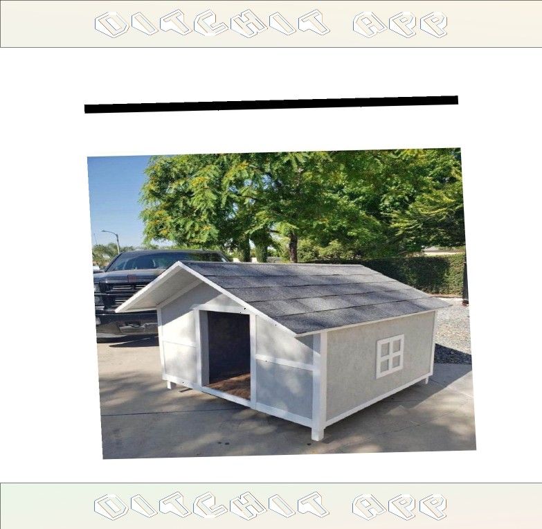 Backyard Pet Houses - Strong Homes for Delighted Pets everybody trial