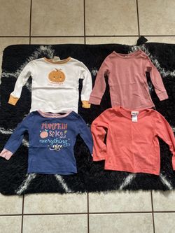 Toddler Girl Clothes  Bundle 