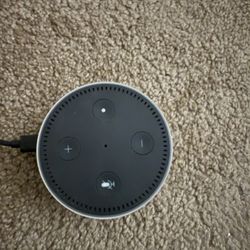 Amazon Echo Dot