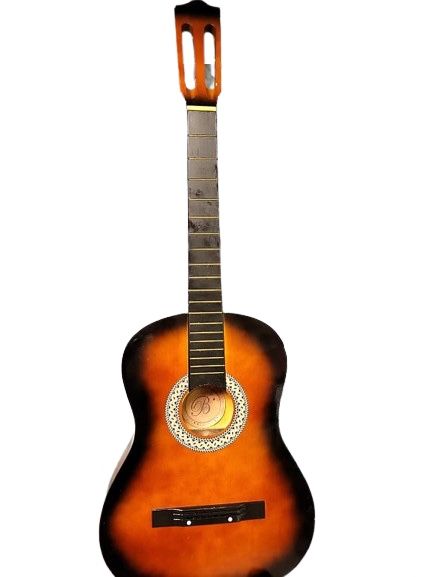 Acoustic Guitar