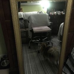 Gold Antique  Mirror  Hight 43. 1/2   Wide  23.1/2 