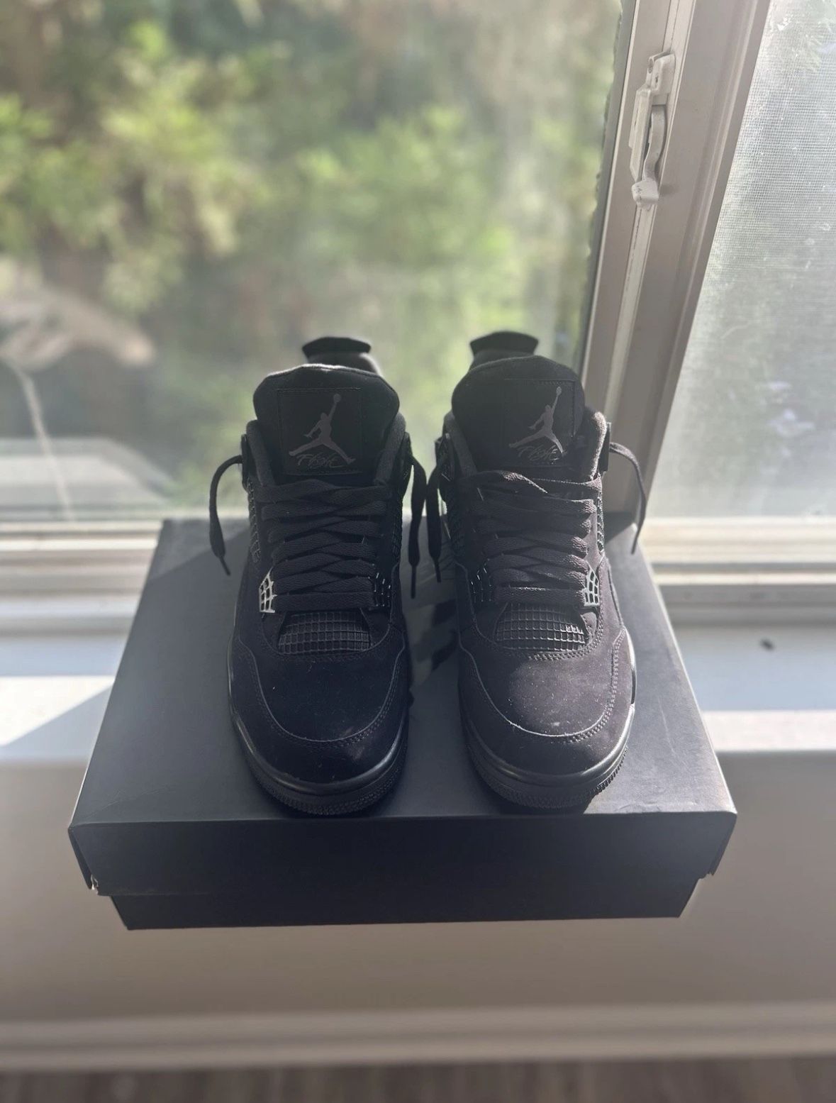 Jordan 4 Black Cat