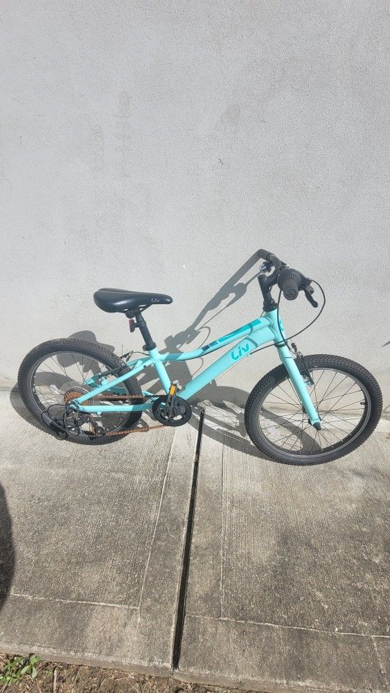 Liv blue Bike