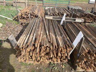 2x2 Treated Tree Stakes