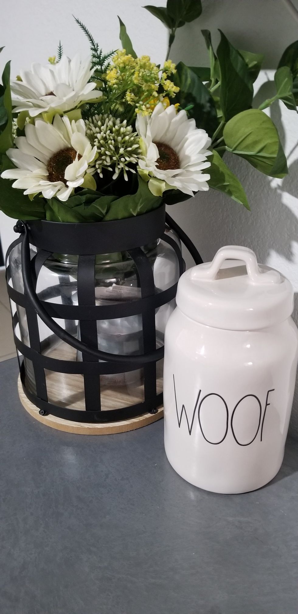 Rae Dunn dog canister / farmhouse decor home