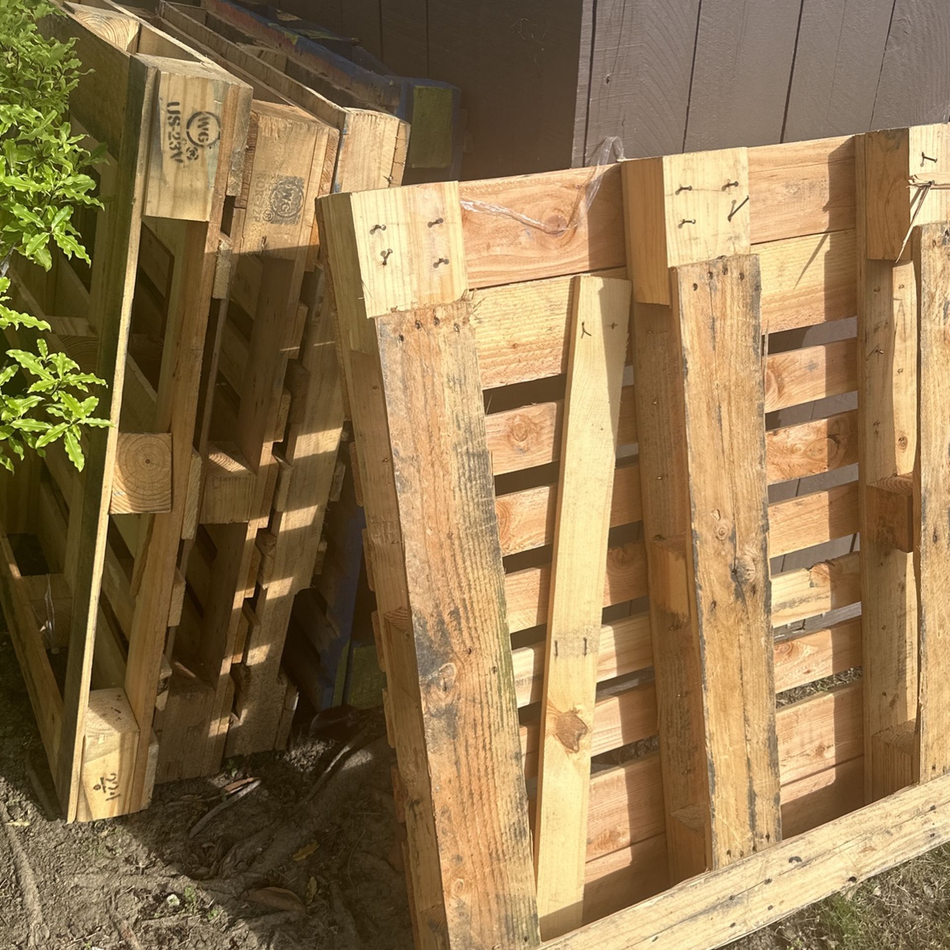 Free Pallets 