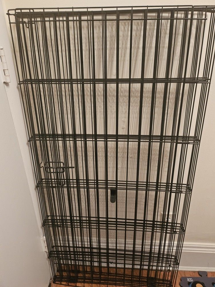 Dog Supplies