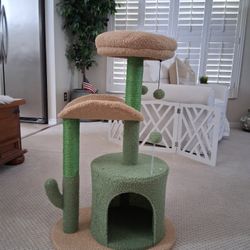 BRAND NEW cute cactus 🌵 Cat Tower.