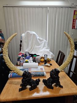 Trade or Sale - A Pair of Chinese foo dogs or guardians lions statues
