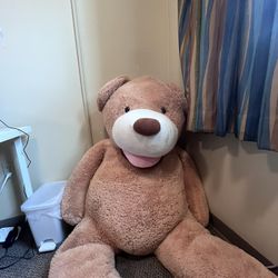 giant bear