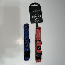 Dog Collar 
