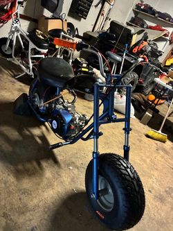 Baja warrior