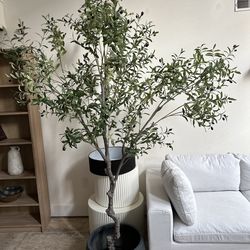 Large 8 ft Faux Olive Tree & Black ceramic planter