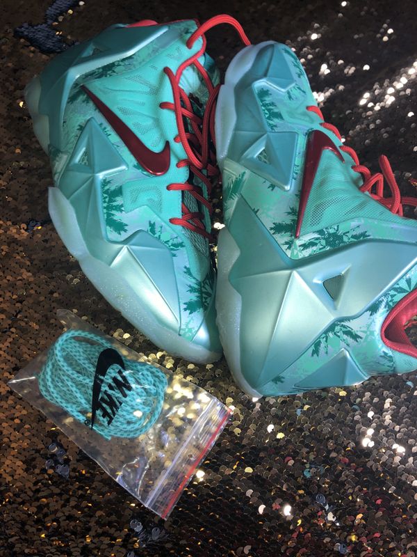 lebrons size