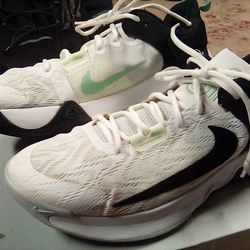 Nike Men's Giannis Immortality 2 