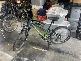 Cannondale Kids Bike