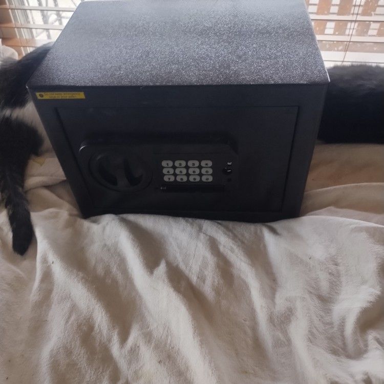 Fire Safe Never Been Used My Friend Got It On Amazon $60 Firm Price