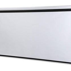 Homegear 110” Projector-$100