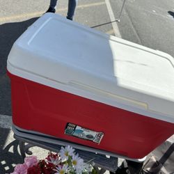 Igloo Cooler In Excellent Condition $20
