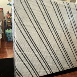 Free Queen Matress 