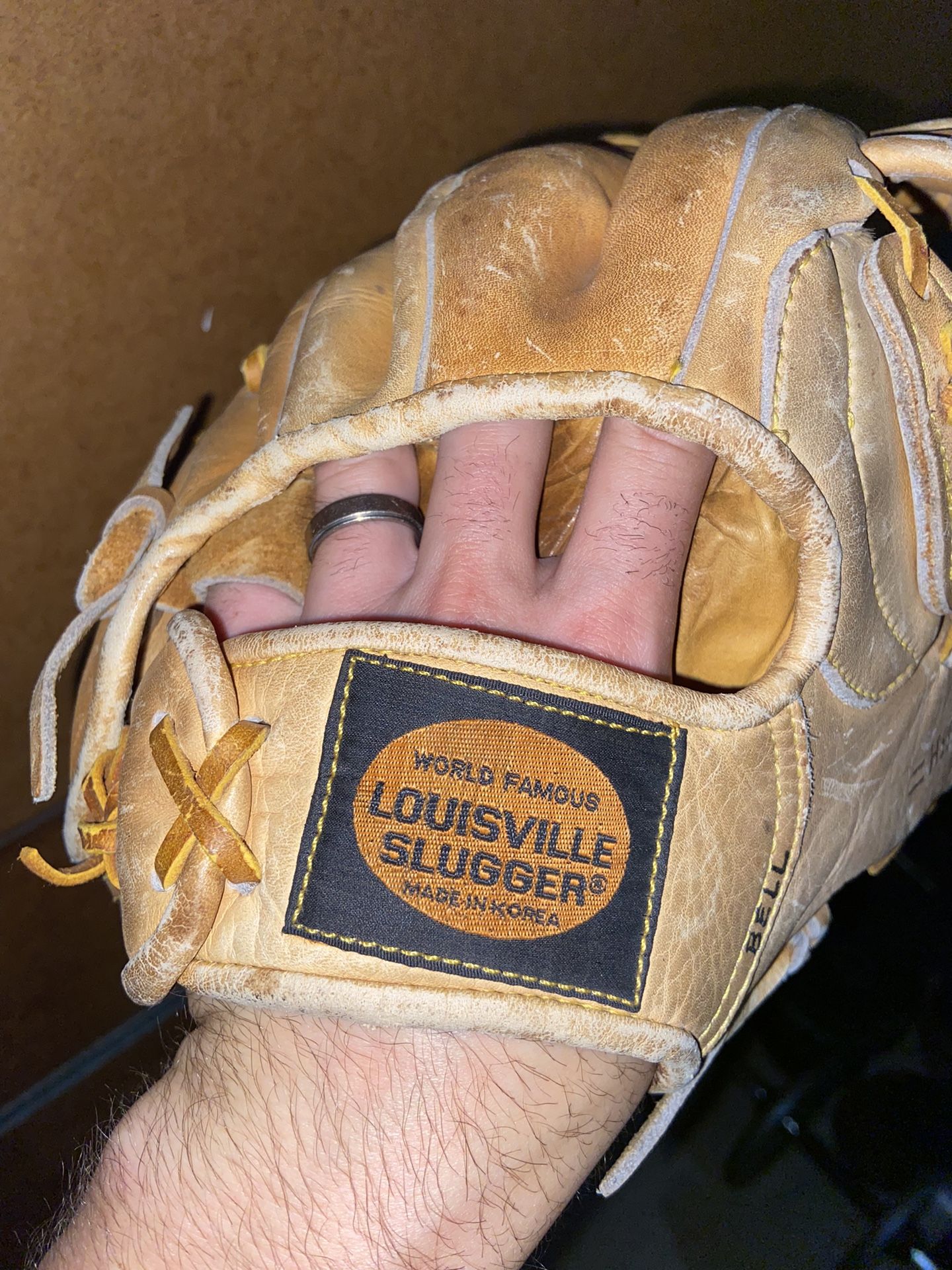 Baseball Glove On Left Hand