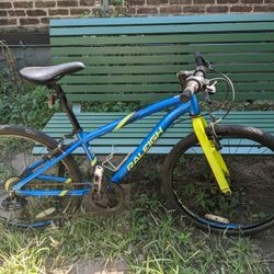 Raleigh Cadent 24" Kids Bike